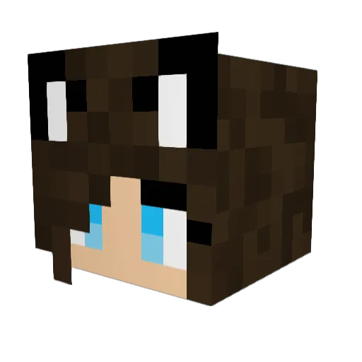 SnowManDancer_10 Minecraft avatar head, 3D render