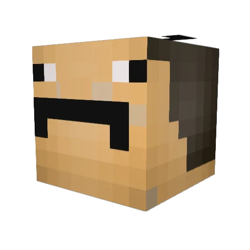 SnowMexican Minecraft avatar head, 3D render