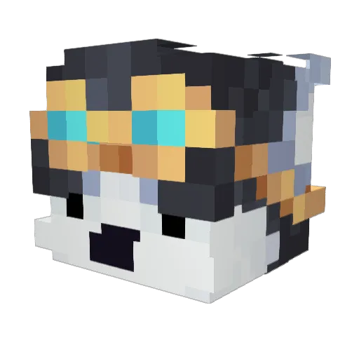 SnowMod Minecraft avatar head, 3D render