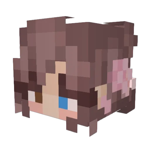SnowPunk11 Minecraft avatar head, 3D render