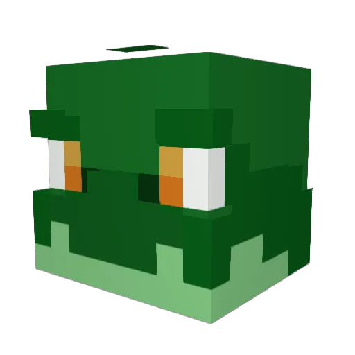 Snow_0wl12 Minecraft avatar head, 3D render