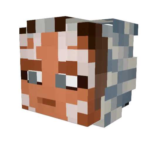 Snow_2509 Minecraft avatar head, 3D render