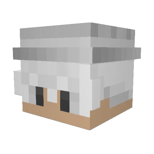 Snow_2_2 Minecraft avatar head, 3D render
