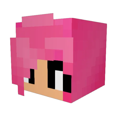 Snow_Flake_2800 Minecraft avatar head, 3D render