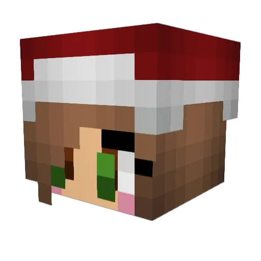 Snow_Fox10 Minecraft avatar head, 3D render