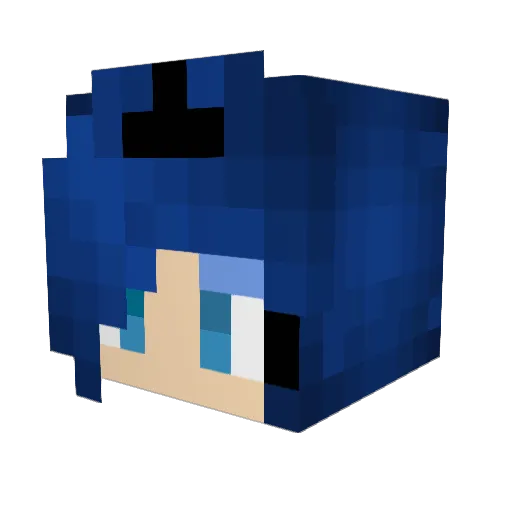 Snow_Fox24 Minecraft avatar head, 3D render