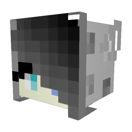 Snow_Leopard240 Minecraft avatar head, 3D render