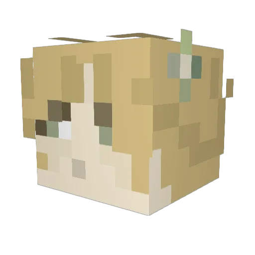 Snow__Nika Minecraft avatar head, 3D render