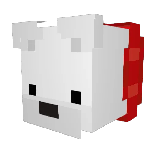 Snow_beojkkoch Minecraft avatar head, 3D render