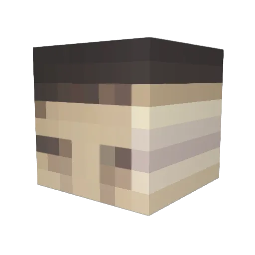 Snow_din Minecraft avatar head, 3D render