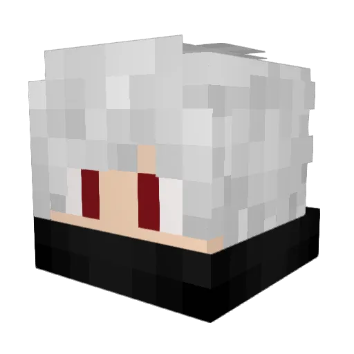 Snow_ww Minecraft avatar head, 3D render