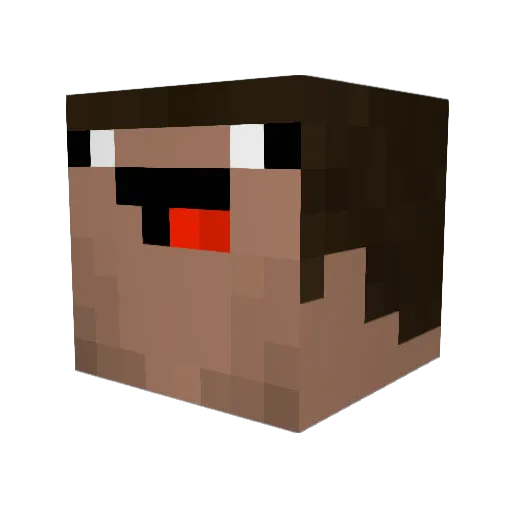 Snowars11120 Minecraft avatar head, 3D render