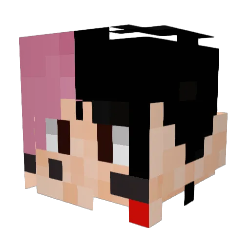 Snowax666 Minecraft avatar head, 3D render