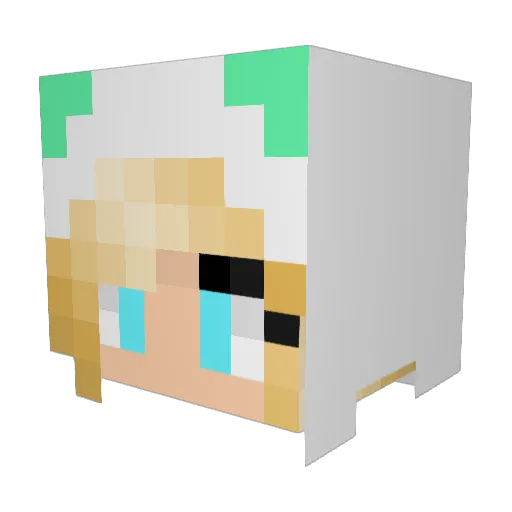 Snowball3000 Minecraft avatar head, 3D render