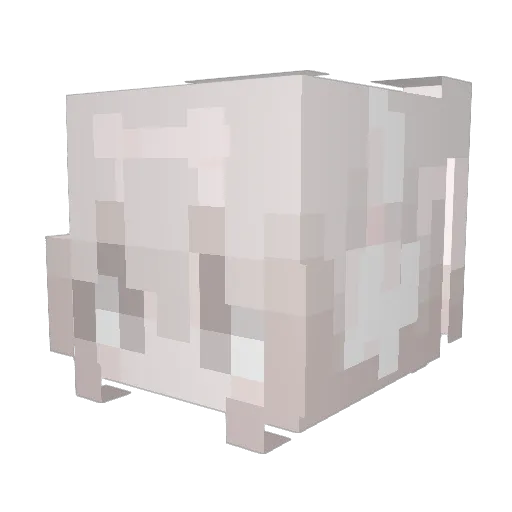 Snowball_865 Minecraft avatar head, 3D render