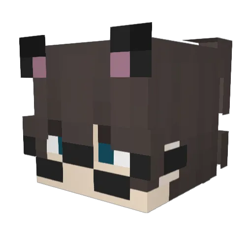 Snowbandit12 Minecraft avatar head, 3D render