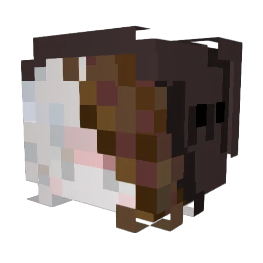 Snowbird_0 Minecraft avatar head, 3D render