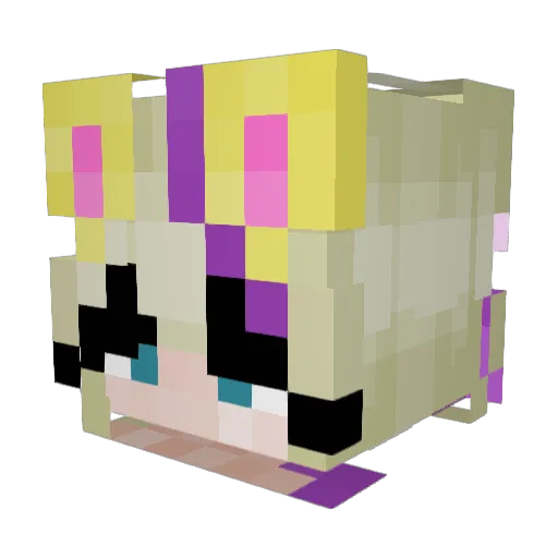 Snowblake69 Minecraft avatar head, 3D render