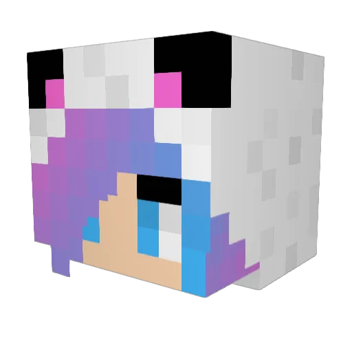 Snowcat614 Minecraft avatar head, 3D render