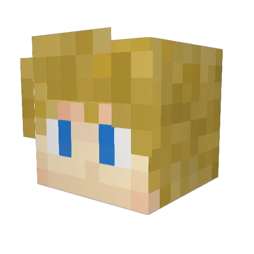 Snowcon Minecraft avatar head, 3D render