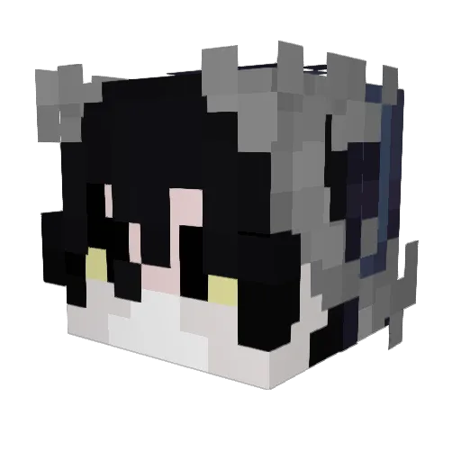 Snowcuber Minecraft avatar head, 3D render