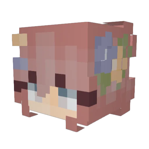 Snowdrop42 Minecraft avatar head, 3D render