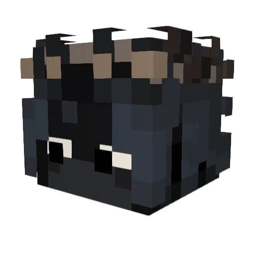 Snowdust4 Minecraft avatar head, 3D render