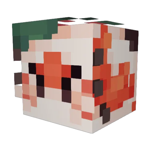 Snowell__ Minecraft avatar head, 3D render
