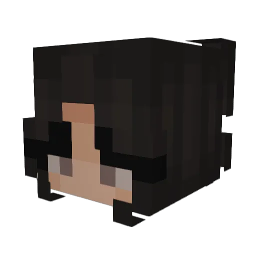 Snowesty Minecraft avatar head, 3D render