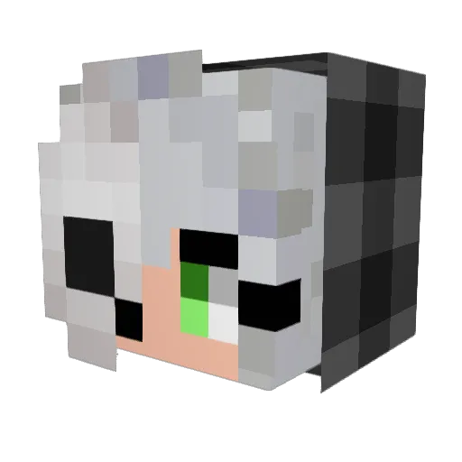 Snoweyyyyy Minecraft avatar head, 3D render