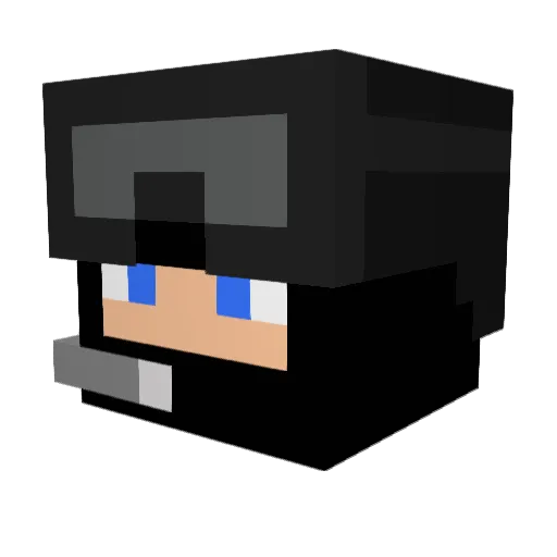 Snowfall54 Minecraft avatar head, 3D render
