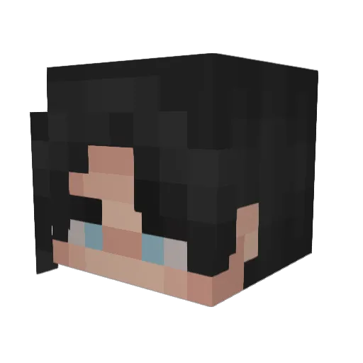 Snowfilename Minecraft avatar head, 3D render