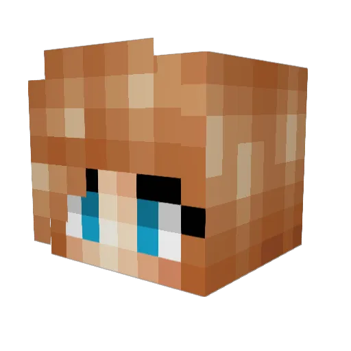 Snowflacke1234 Minecraft avatar head, 3D render