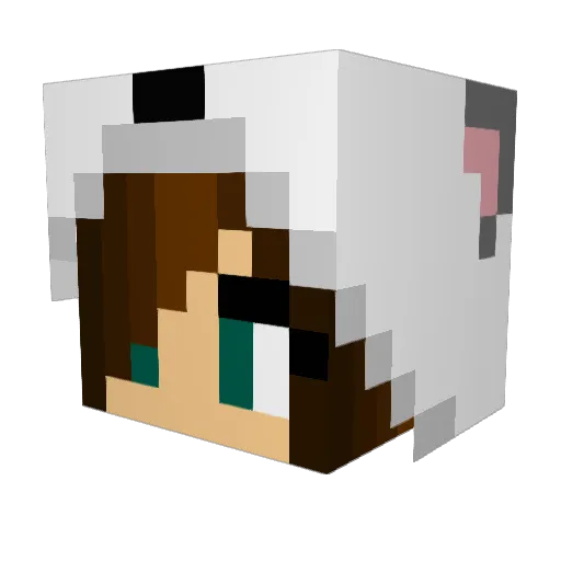 Snowflake1892 Minecraft avatar head, 3D render