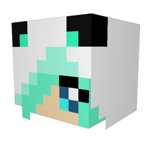 Snowflake203 Minecraft avatar head, 3D render