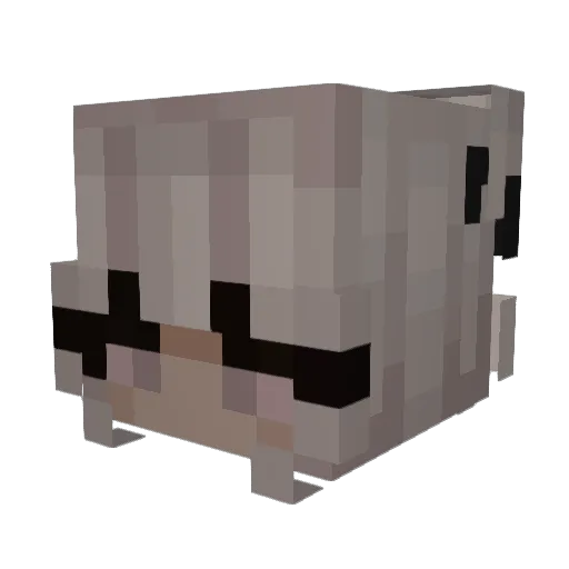 Snowflake279 Minecraft avatar head, 3D render