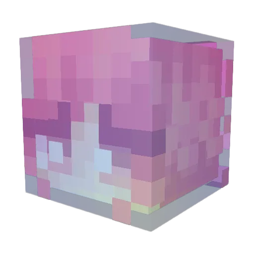 Minecraft-Avatar von SnowflakeKiwi: Kopf als 3D-Render