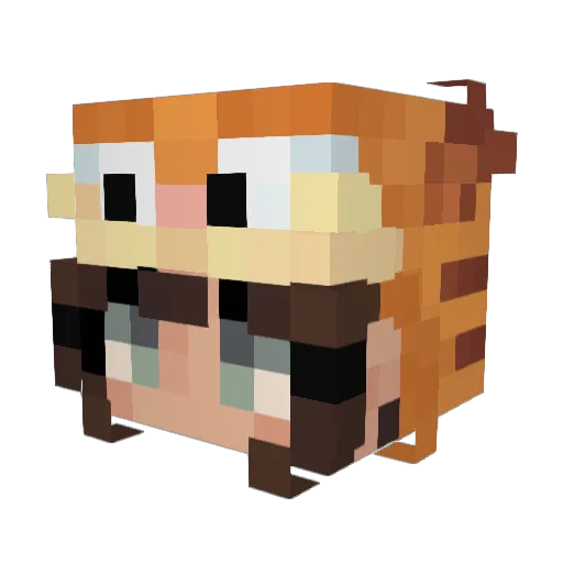SnowflakeStaff Minecraft avatar head, 3D render