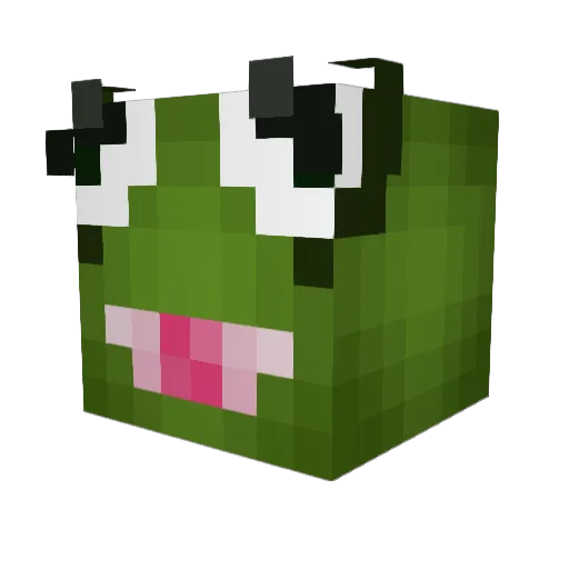 Snowfudgeball69 Minecraft avatar head, 3D render