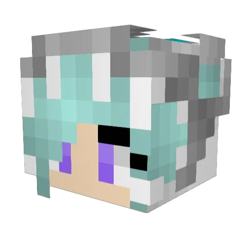 Snowfur07 Minecraft avatar head, 3D render
