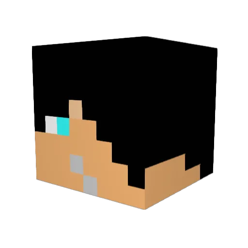 Snowie00 Minecraft avatar head, 3D render