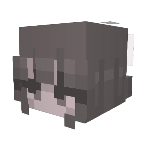 SnowieARL Minecraft avatar head, 3D render
