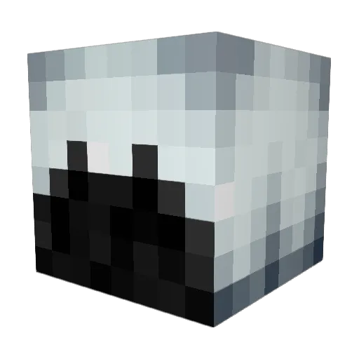 Snowii_17 Minecraft avatar head, 3D render