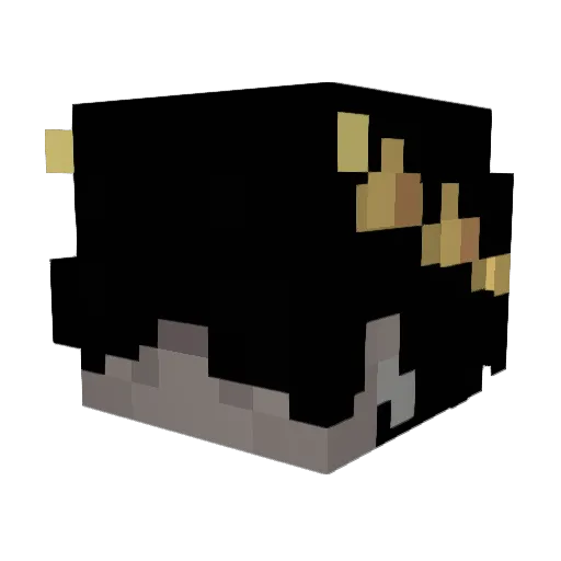 Snowizgood Minecraft avatar head, 3D render