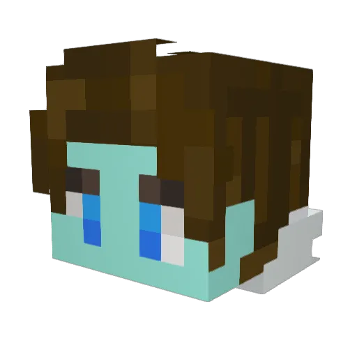 Snowjake Minecraft avatar head, 3D render