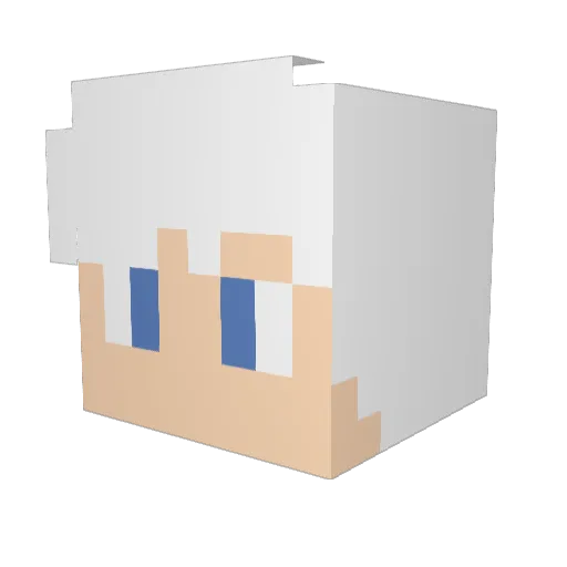 Snowk3_ Minecraft avatar head, 3D render