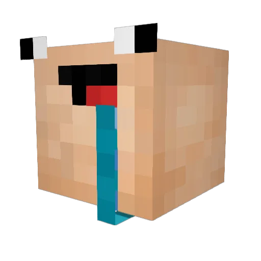 SnowkidS1991 Minecraft avatar head, 3D render