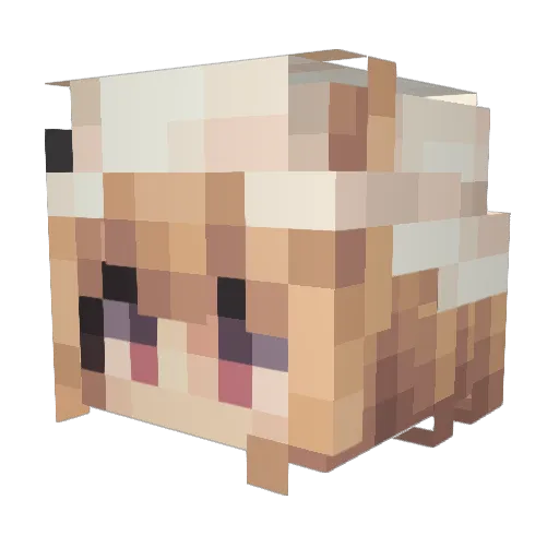 Snowlander63 Minecraft avatar head, 3D render