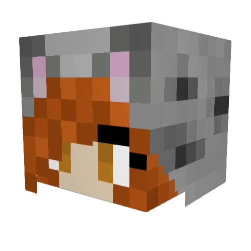 Snowleopard42 Minecraft avatar head, 3D render