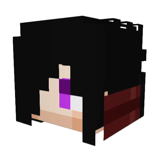 Snowless21 Minecraft avatar head, 3D render